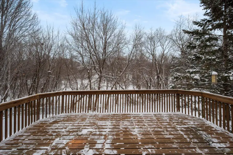 8139 Jewel Avenue S, Cottage Grove, MN 55016 - Image #3