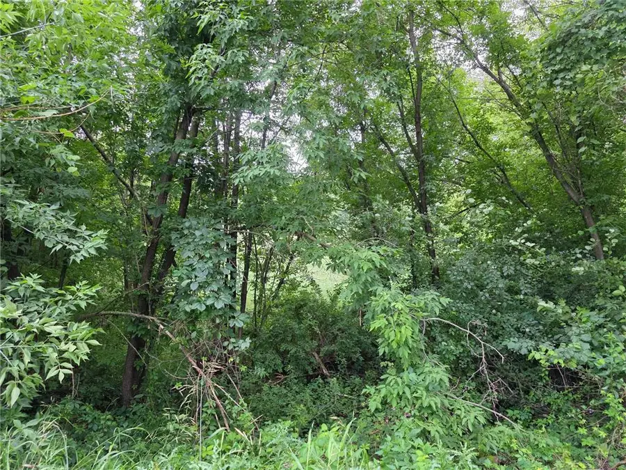 TBD Michigan Avenue, Crosby, MN 56441 - Image #3