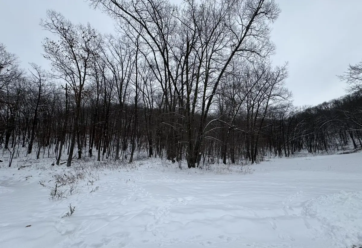 458 Oakhurst Circle, Lake City, MN 55041 - Image #1