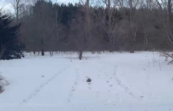 TBD Riverview Drive Ne, Carlos, MN 56319