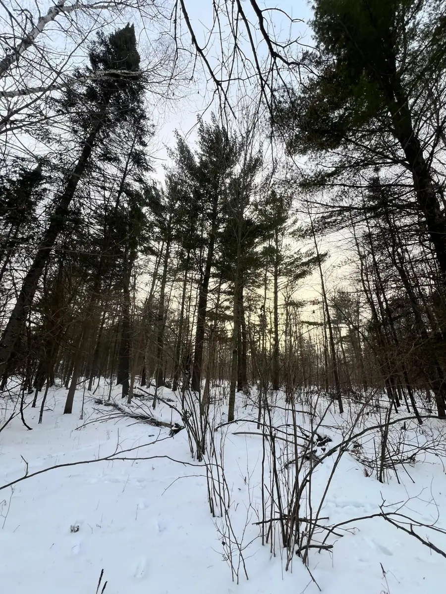 TBD County Rd 67, Grand Rapids, MN 55744 - Image #3