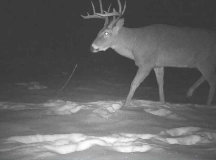 27262 151st Avenue, Bagley, MN 56621 - Image #3