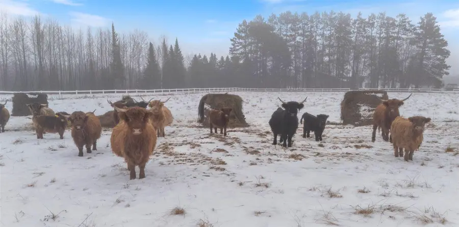 13601 E County Road 578, Goodland, MN 55742 - #3