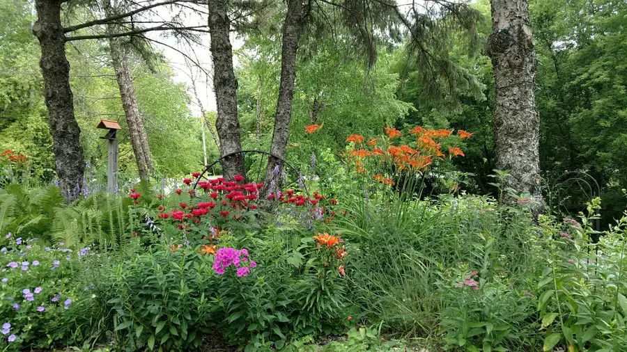2945 County Highway 4 #518 Sw, Cokato, MN 55321 - #2