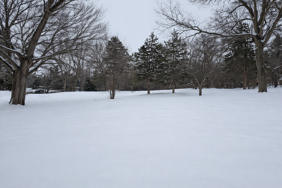 14709 Glendale, Minnetonka, MN 55345 - #3