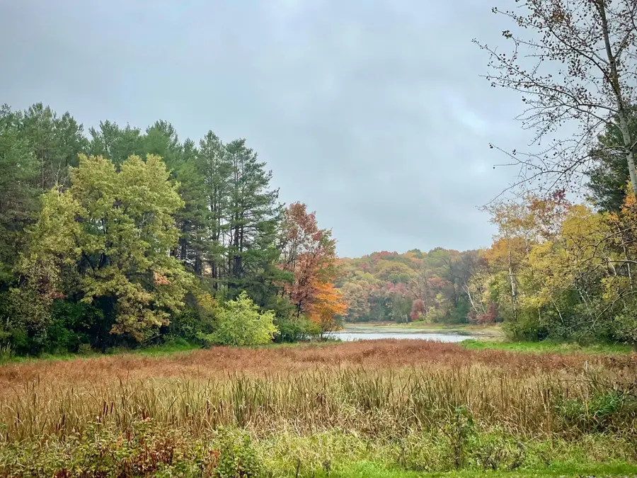 14169 Homestead Avenue N, Hugo, MN 55038 - #3