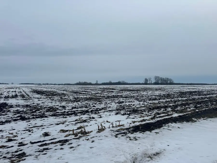 TBD County 36, Long Prairie, MN 56347 - #2