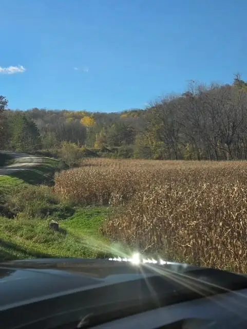 XXXXX County 45 Boulevard, Red Wing, MN 55066 - #1