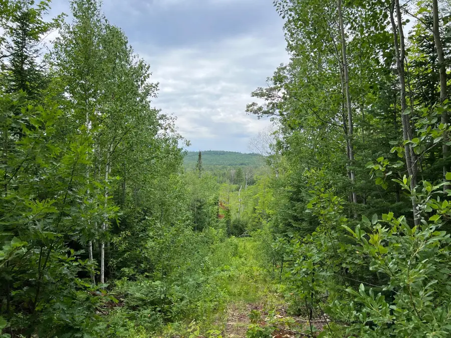 86640 N South Pratt Road, Bayfield, WI 54814 - #3