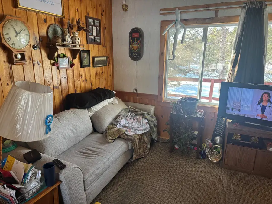 40647 Penny Drive, Browerville, MN 56438 - #3