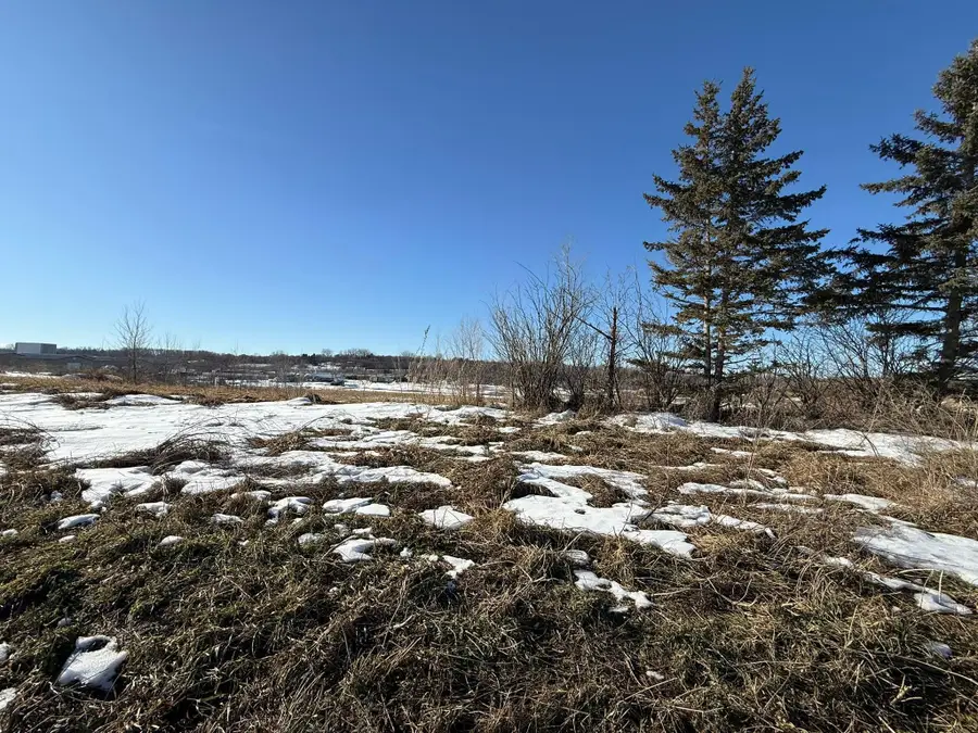 8292 Cabot Avenue, Medford, MN 55049 - #3