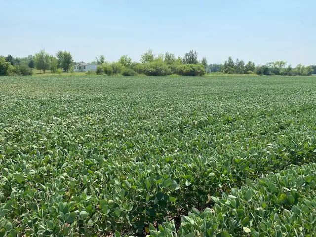 TBD 160th St., Foreston, MN 56330 - #2