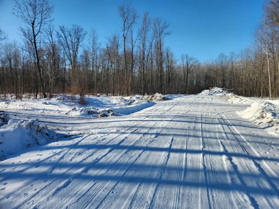 xxxx 175th, Borgholm, MN 56353 - #2