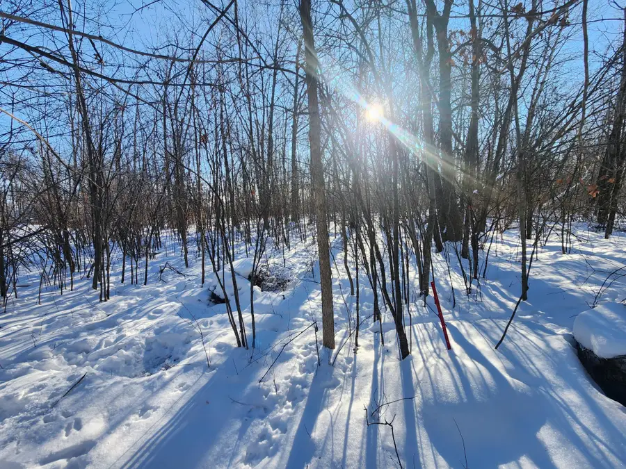 xxxx 175th, Borgholm, MN 56353 - #3