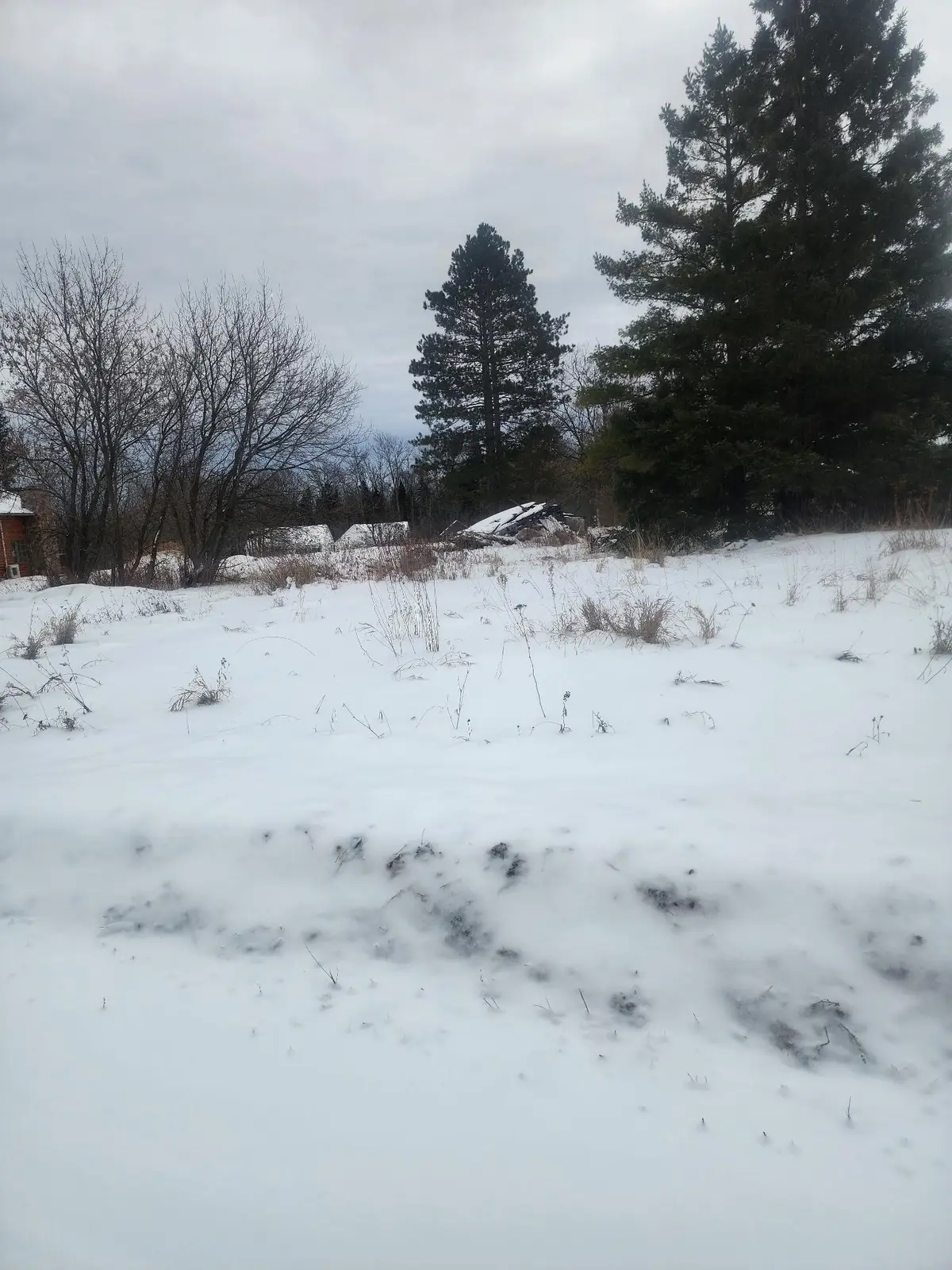 12096 Ramsey Street, Northome, MN 56661 - Image #1