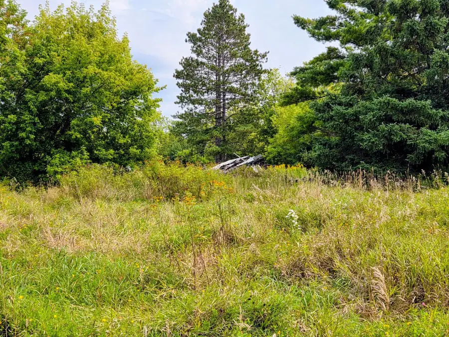 12096 Ramsey Street, Northome, MN 56661 - Image #3