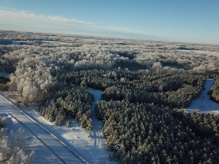 TBD1 161st Avenue, Clearbrook, MN 56634 - Image #3