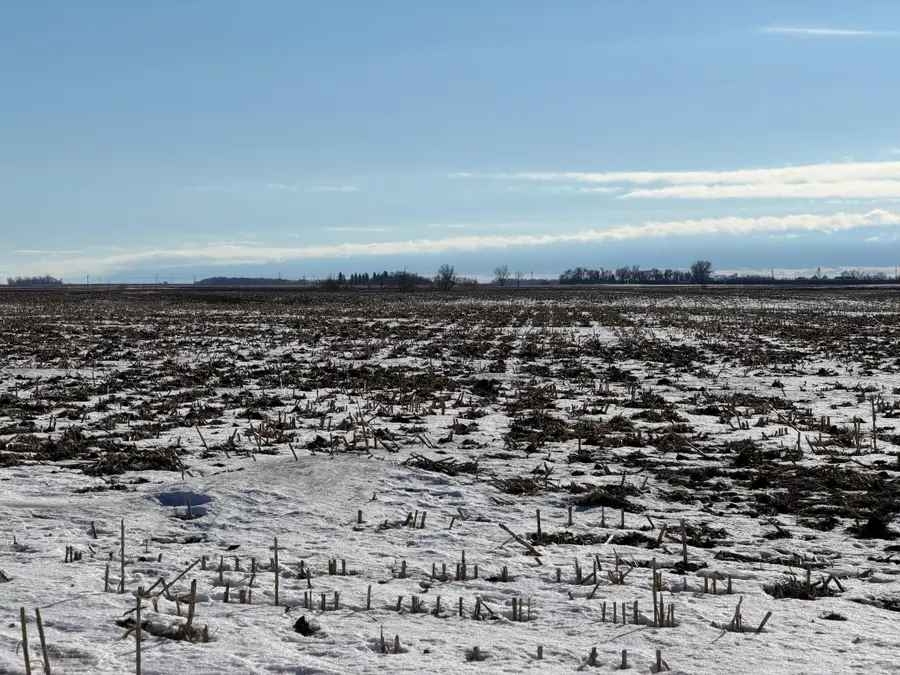 Section 35 Pepperton Township, Alberta, MN 56207 - #3