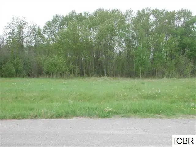Lt 2 Blk 3 Aspen Dr, Deer River, MN 56636 - #1