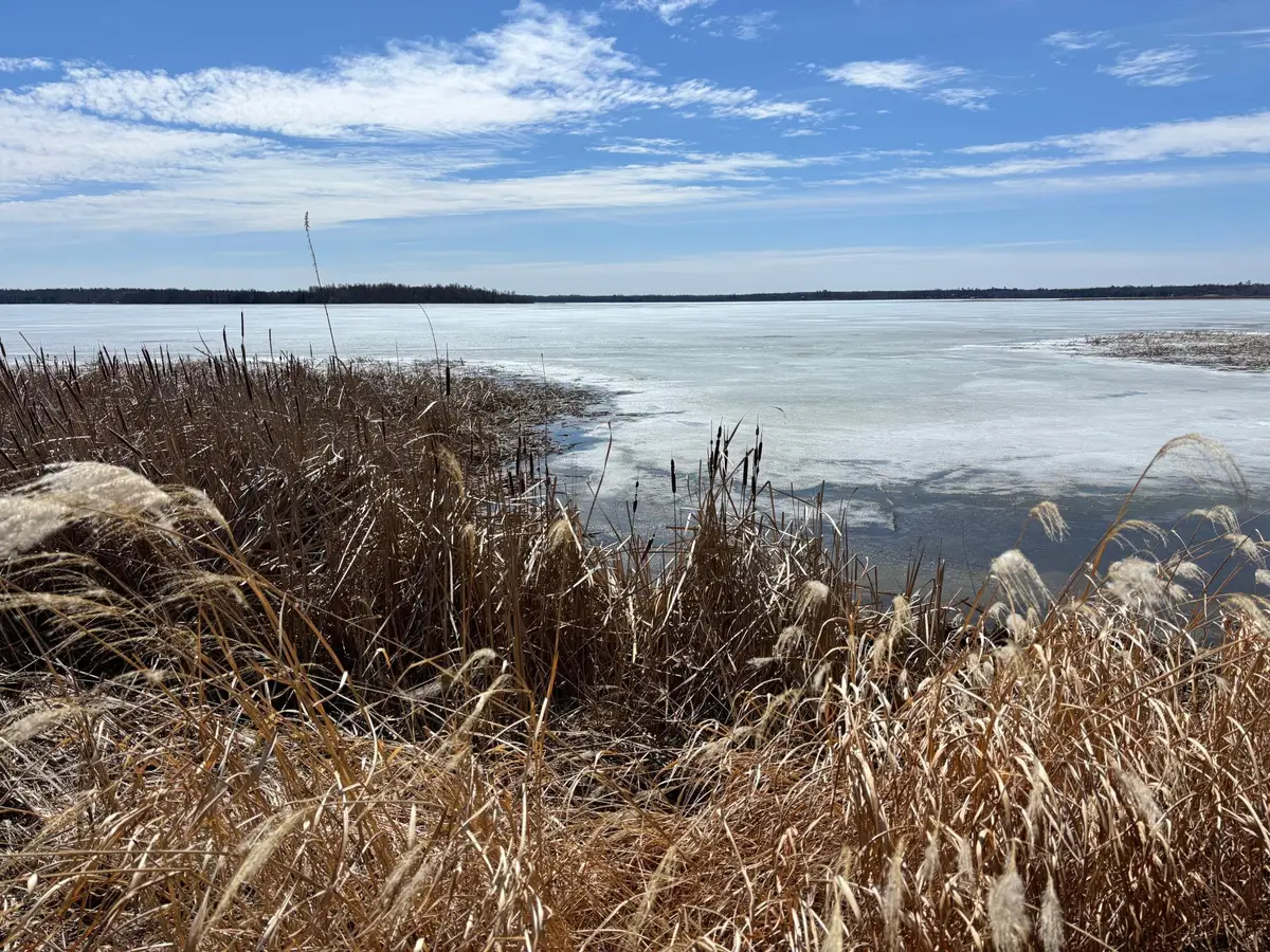 18196 N Blackduck Lake Road Ne, Hines, MN 56647 - #1