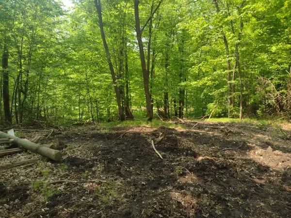 Lot 8 Block 2 Crystal Beach Road, Pelican Rapids, MN 56572