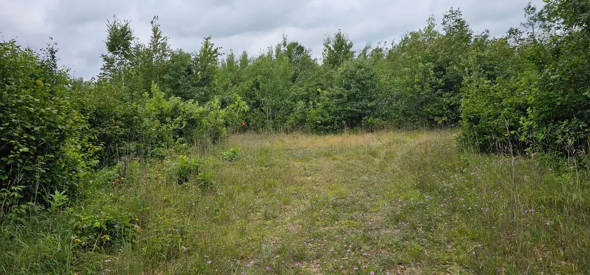 TBD Parcel B Sunnyside Road Se, Bemidji, MN 56601 - Image #1