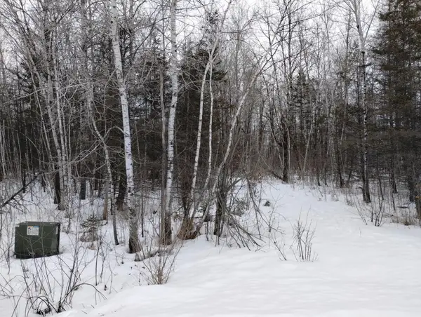 tbd 294th Avenue, Brook Park, MN 55007