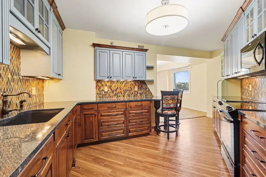 121 Washington Avenue S #417, Minneapolis, MN 55401 - Image #2