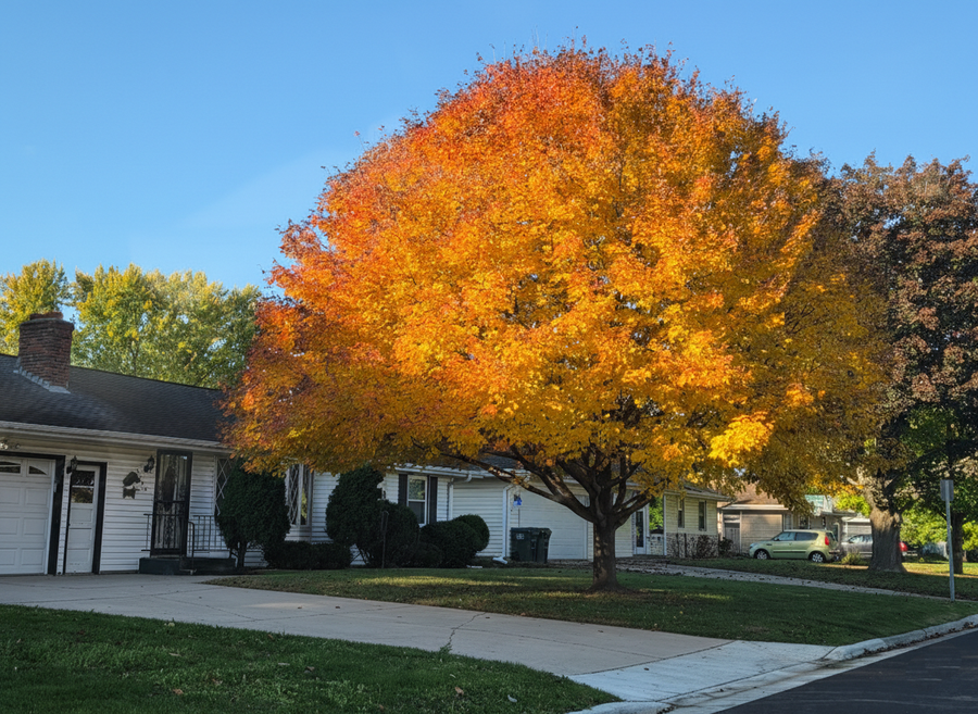 3340 143rd Street W, Rosemount, MN 55068 - Image #2