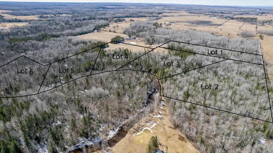 9377 E Wood Lot 6 (parcel 6) Road, Poplar, WI 54864 - #3