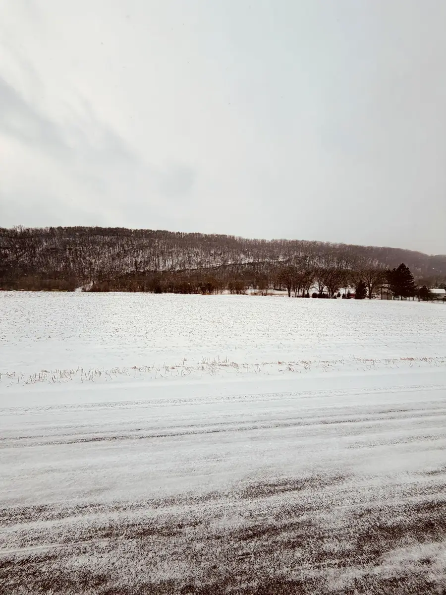 tbd Territorial Road, Lake City, MN 55041 - Image #3