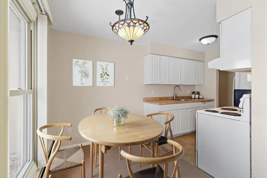 929 11th Avenue S #1, Hopkins, MN 55343 - Image #2