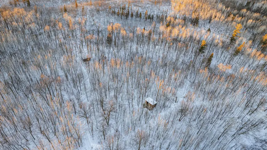 21574 State 200, Bagley, MN 56621 - #3