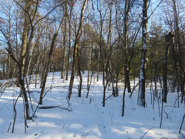 Lot 1 Lincoln Avenue, Amery, WI 54001