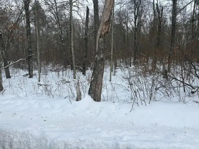 L7B1 Bonnie Lakes Rd, Crosslake, MN 56442 - #2