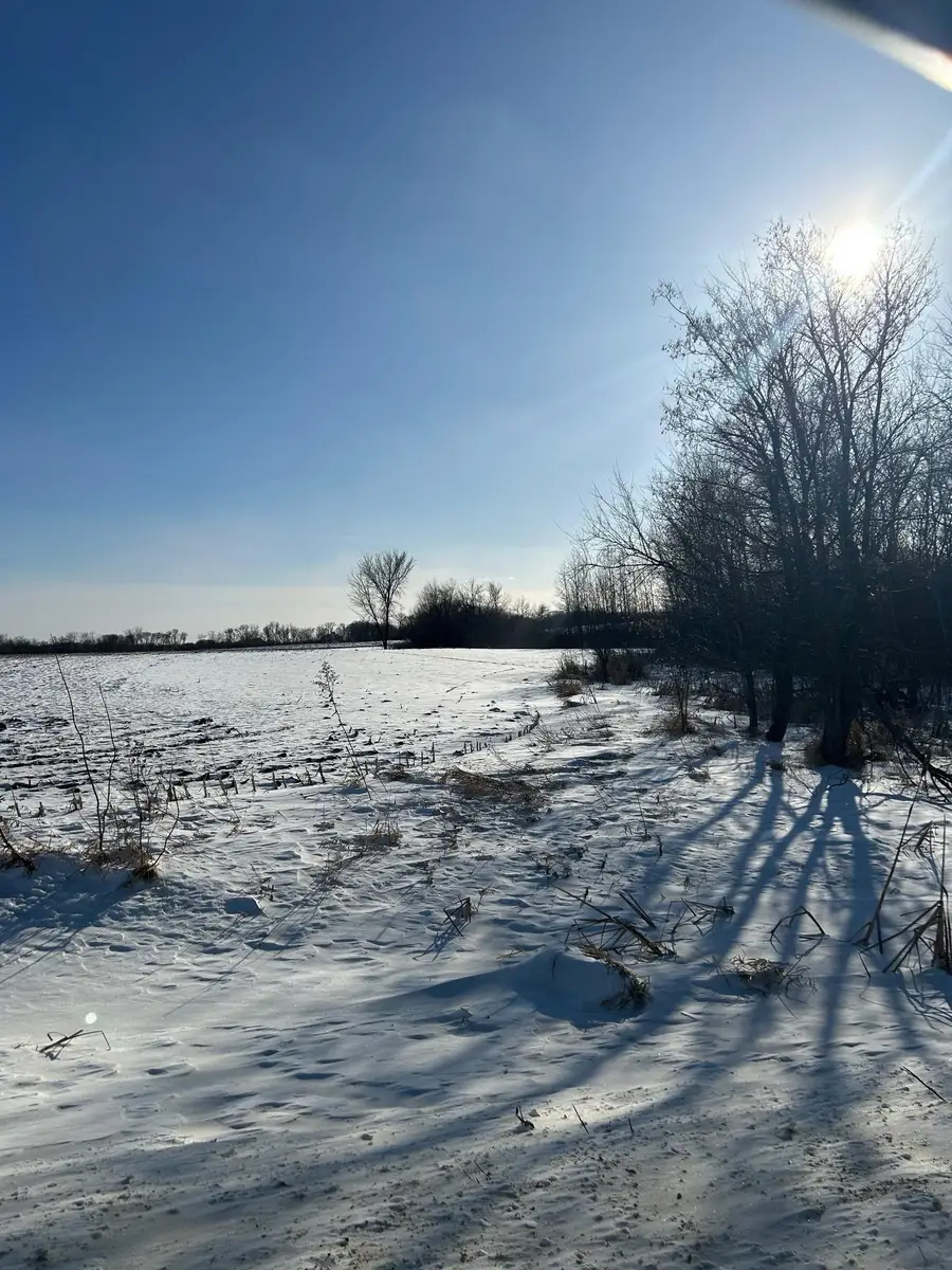 XXXX 285th (180 Acres) Street, Northfield, MN 55057 - #2