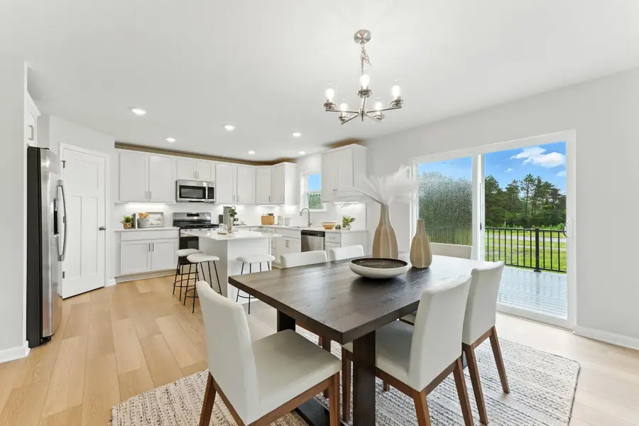 1125 Annagaire Curve, Rosemount, MN 55068 - #3