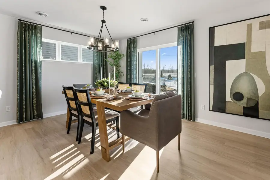 1132 Annacotte Lane, Rosemount, MN 55068 - #3