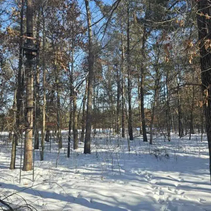 TBD W River Road, Grantsburg, WI 54840 - #2