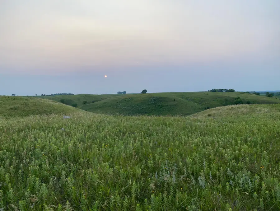 14101 Pelican Ridge, Big Stone City, SD 57216 - #3