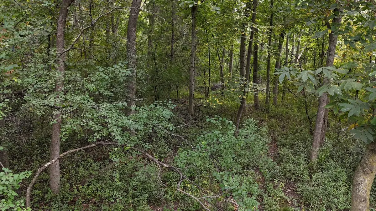 308 Sommers Street N, North Hudson, WI 54016 - #1