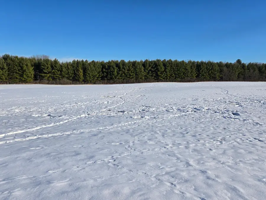 20.05 Acres County Road N, Wheeler, WI 54772 - #3