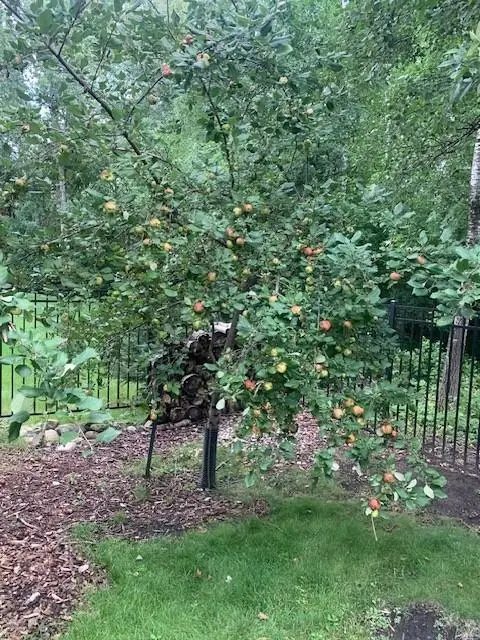 1020 Fernbrook Lane N, Plymouth, MN 55447