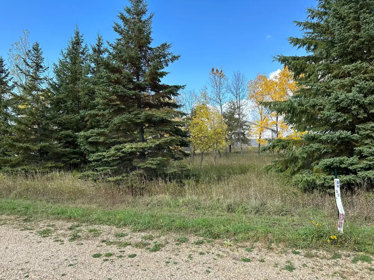 26775 Lidstrom Road, Detroit Lakes, MN 56501 - #1