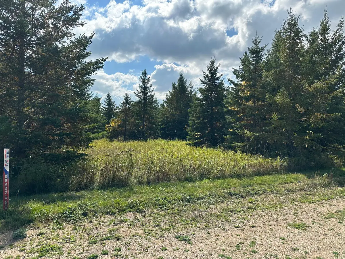 26785 Lidstrom Road, Detroit Lakes, MN 56501 - #1