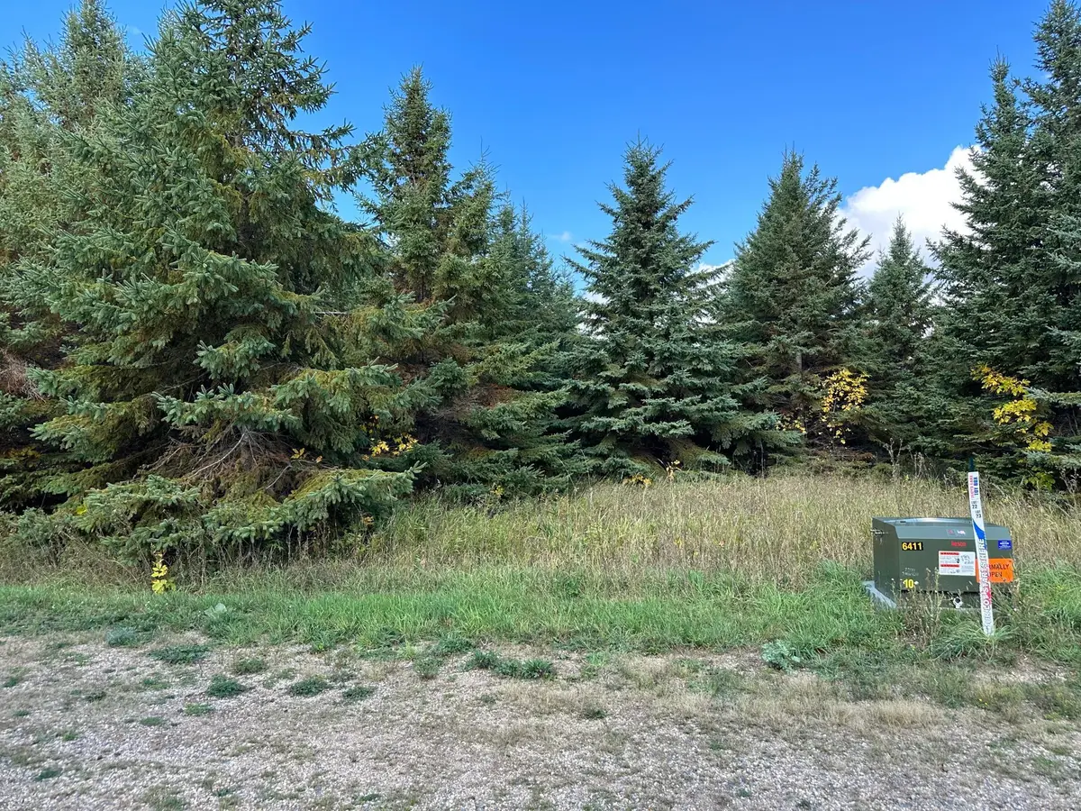 26799 Lidstrom Road, Detroit Lakes, MN 56501 - #1