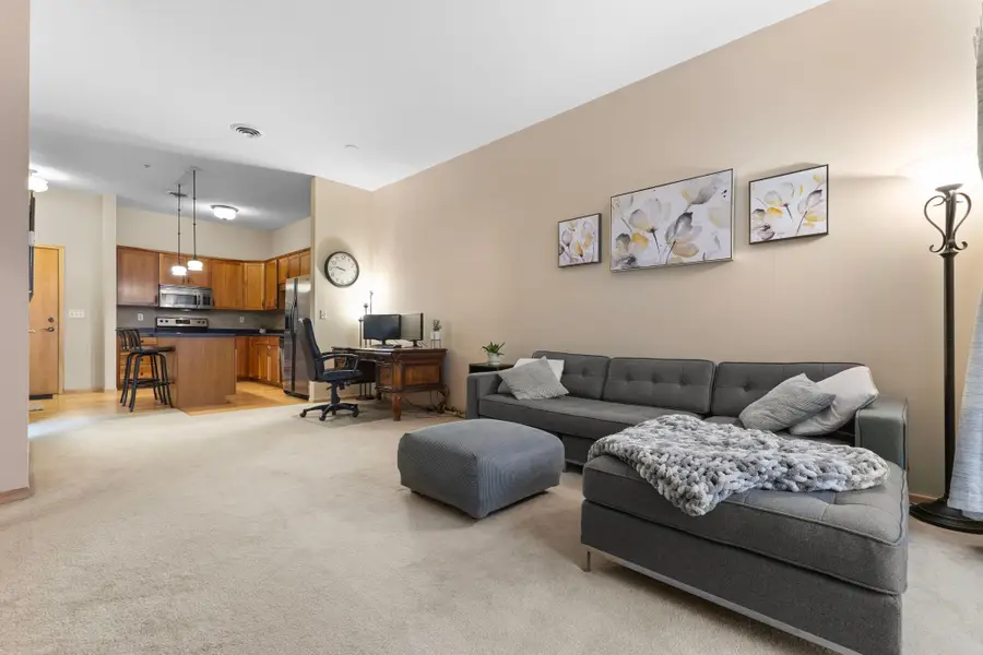 270 4th Street E #203, Saint Paul, MN 55101 - Image #3