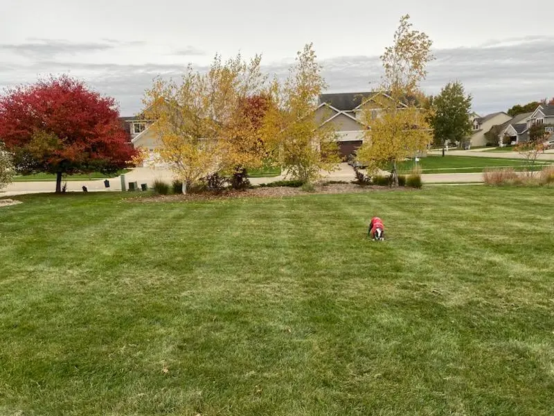 TBD Folwell Ridge Street Sw, Rochester, MN 55902 - Image #2