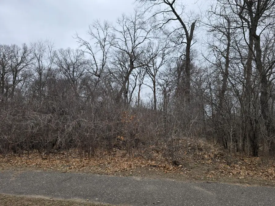 L1,B2 288th Avenue Nw, Baldwin, MN 55398 - #3