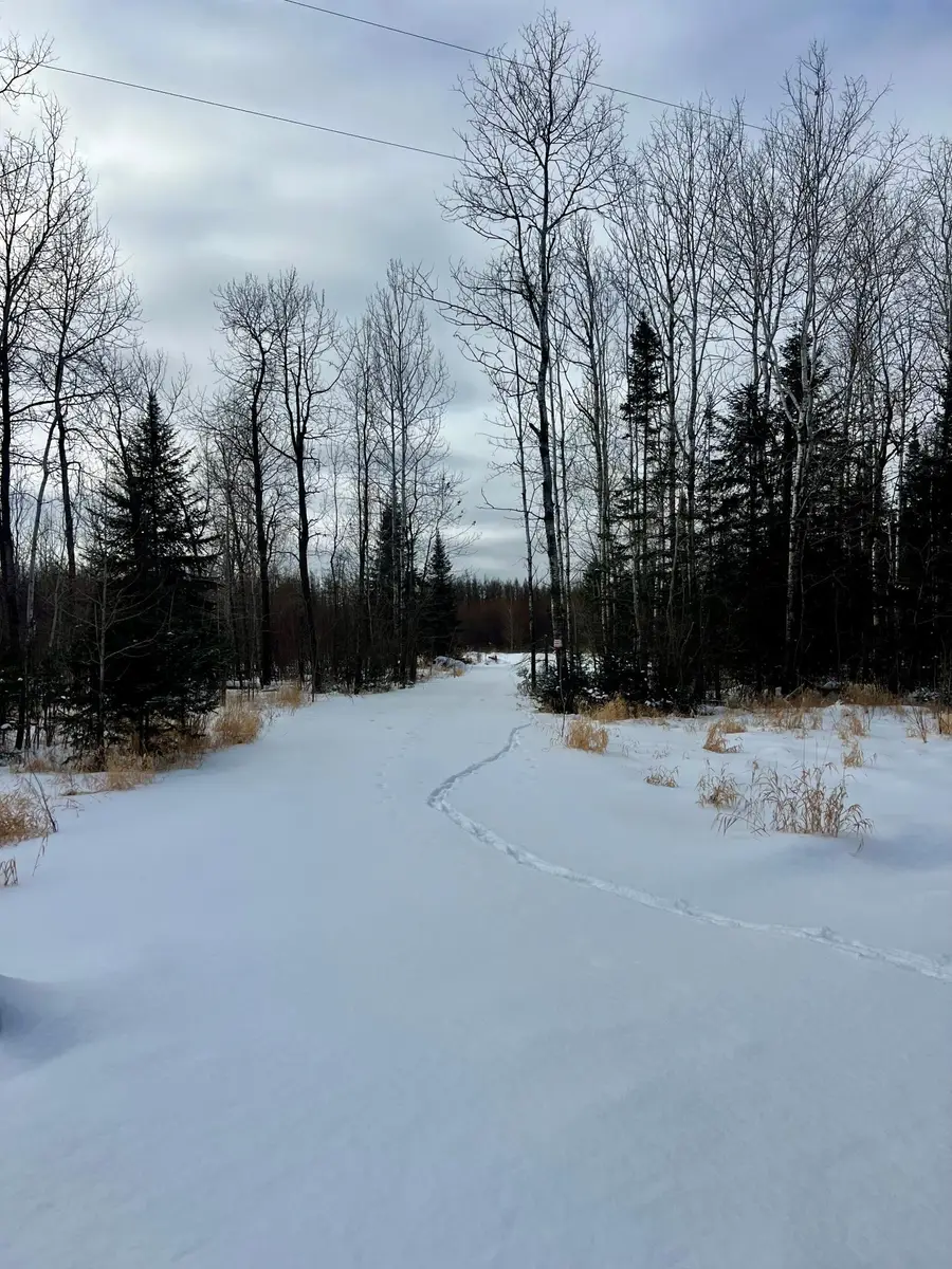 8624 Zim Road, Forbes, MN 55738 - Image #2